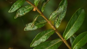 人工智能技术的不断创新与应用 人工智能技术的不断创新与应用