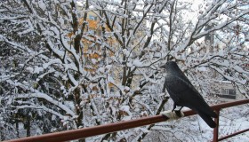 智能机器人技术发展趋势解析 智能机器人技术发展趋势解析