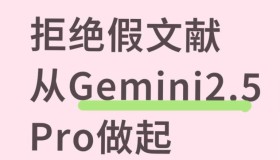 如何让Gemini 2.5 Pro摆脱假文献困扰? 如何让Gemini 2.5 Pro摆脱假文献困扰?