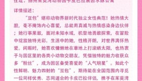 “越狱”小明星卡皮巴拉“豆包”喜结良缘,新郎核桃受游客祝福,玉米白菜齐送祝福! “越狱”小明星卡皮巴拉“豆包”喜结良缘,新郎核桃受游客祝福,玉米白菜齐送祝福!