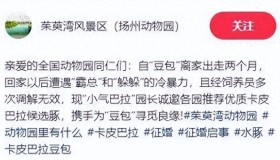 “网红豆包”全国征婚:无需彩礼,嫁妆竟是“豪华别墅”! “网红豆包”全国征婚:无需彩礼,嫁妆竟是“豪华别墅”!