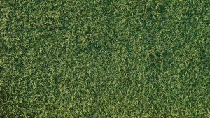 GPT人工智能：技术与应用