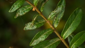 人工智能技术的不断创新与应用