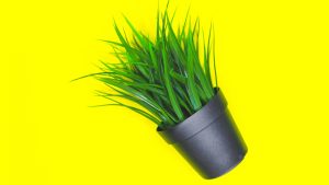 人工智能技术：引领未来的创新与发展