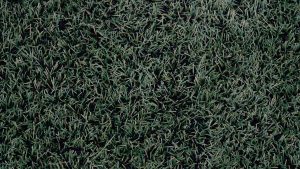 AI智能写作：创作新趋势