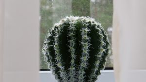 “AI智能写作助手：文心一言”