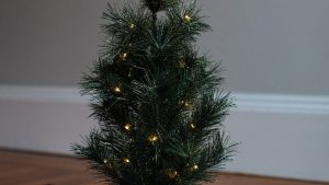 “探索通义千问的魅力：你准备好迎接新的知识挑战了吗？”