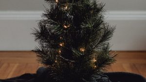 百度AI写作助手：激发创意，助力写作？

期待您的回答！