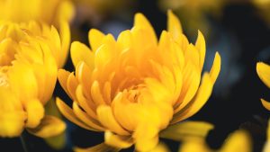 “AI写作助手：让您的文章更有灵气！”