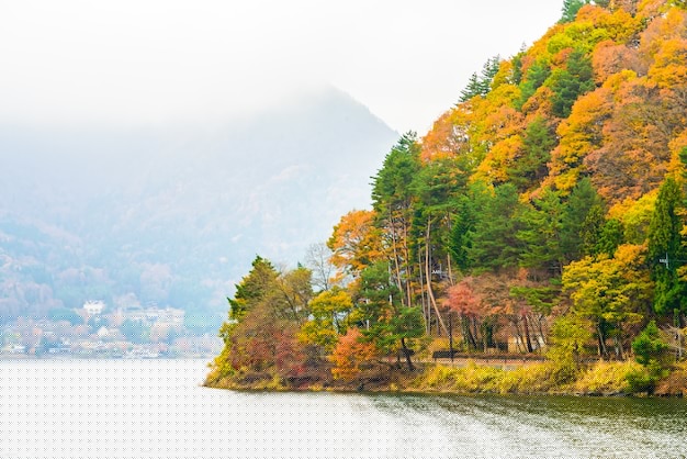 wordpress 插件工具哪个好?5 款必备神器推荐！二