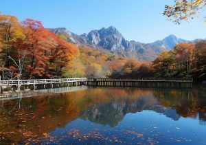 2024年AI工具有多强?5款国产神器实测效果惊人！