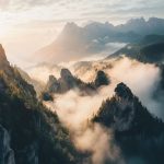 WordPress优化插件怎么选？2024年最受欢迎的5款神器推荐！