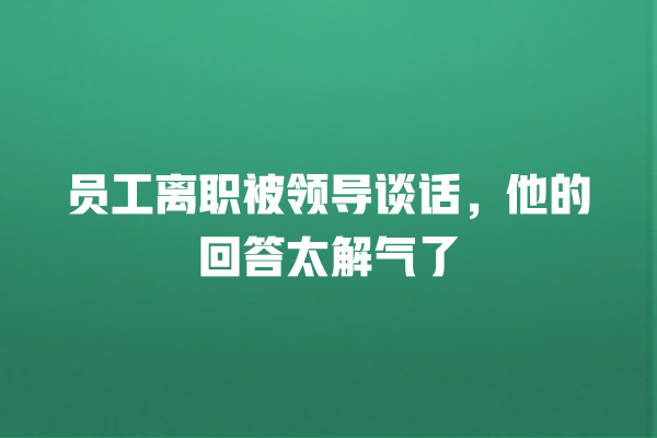 员工离职被领导谈话，他的回答太解气了 一