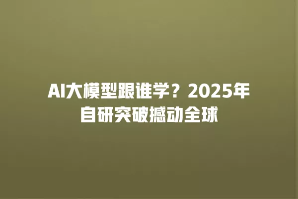 AI 大模型跟谁学?2025 年自研突破撼动全球 一