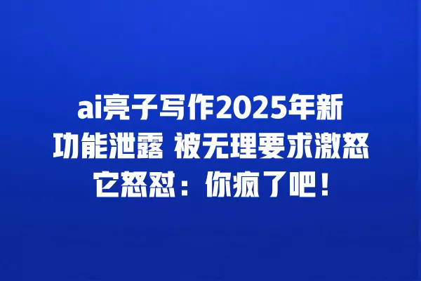 ai 亮子写作 2025 年新功能泄露 被无理要求激怒它怒怼:你疯了吧!一