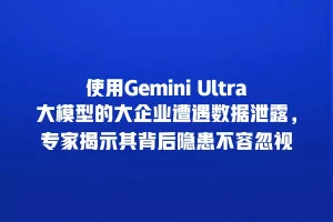 使用Gemini Ultra大模型的大企业遭遇数据泄露，专家揭示其背后隐患不容忽视