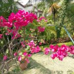 AI写作：创新还是抄袭的隐秘危机？