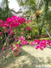 AI写作：创新还是抄袭的隐秘危机？