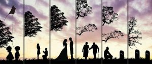 豆包AI：重塑家族谱系的新篇章