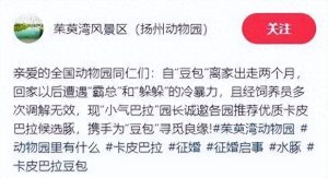 “网红豆包”全国征婚：无需彩礼，嫁妆竟是“豪华别墅”！