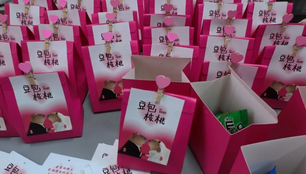 因“越狱”走红的卡皮巴拉“豆包”结婚了，新郎是福建三明动物园的“核桃”