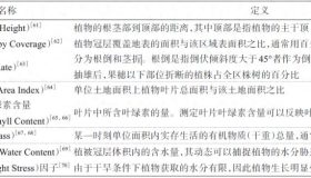 利用合成孔径雷达数据监测作物生长动态的创新指标与技术解析