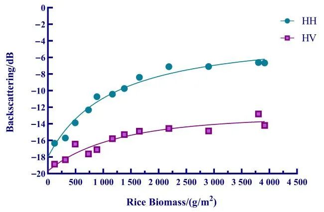 利用合成孔径雷达数据监测作物生长动态的创新指标与技术解析 利用合成孔径雷达数据监测作物生长动态的创新指标与技术解析