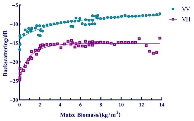 利用合成孔径雷达数据监测作物生长动态的创新指标与技术解析 利用合成孔径雷达数据监测作物生长动态的创新指标与技术解析