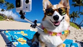 探索国内文生图工具的应用：梦、可灵、豆包等的对比与使用指南