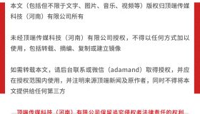 首宗AI生成作品侵权案件入围2024十大焦点案！