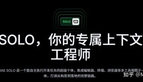 Trae的惊人表现究竟有多强？让我们一探究竟！