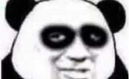 Trae 2.0 发布及 SOLO 模式体验全解析：程序员鱼皮的深度评测！