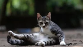 AI 编程：成本低至人类万分之一，速度提升惊人10000倍！