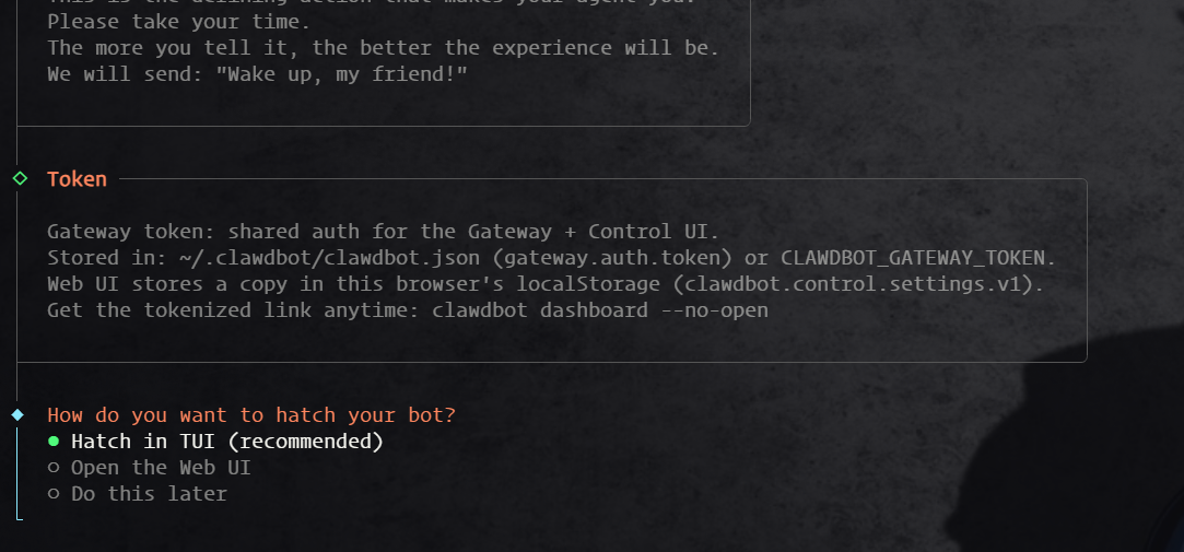 Openclaw (原 Clawdbot) 选择 TUI 终端界面