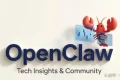 详尽指南：轻松掌握Openclaw本地部署配置技巧