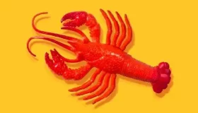 在万众瞩目中，人工智能专家却认为OpenClaw的表现并不如预期