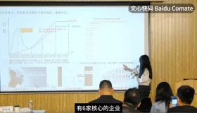 文心快码：前端工程师的深度解析与行业现状探讨（二）