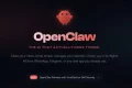 OpenClaw：重塑 AI 创业赛道的新风口！