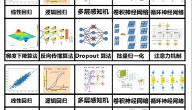 全面解析OpenClaw扩展的使用技巧与攻略